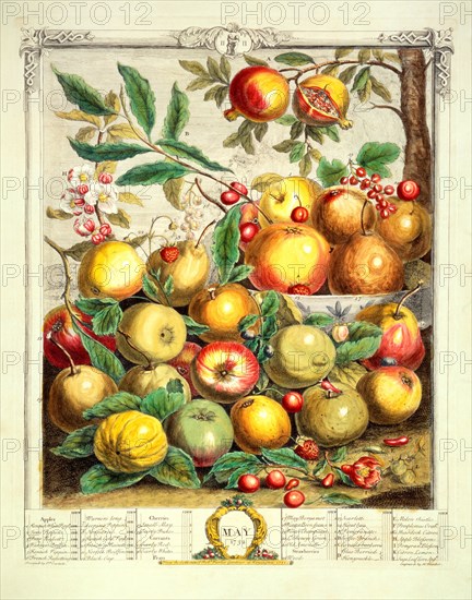 Furber, Les douze mois des Fruits : Mai