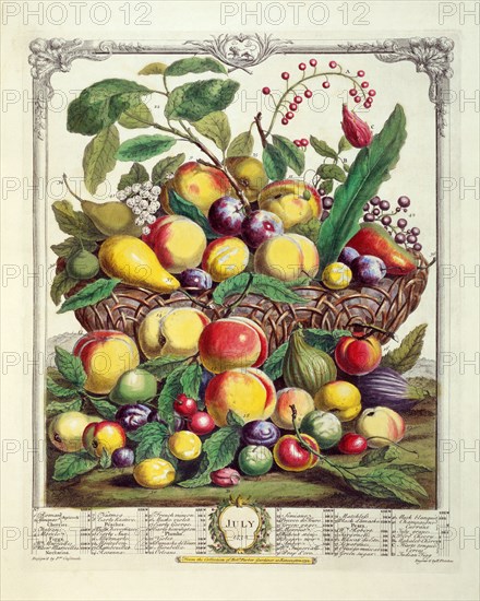 Furber, Les douze mois des Fruits : Juillet