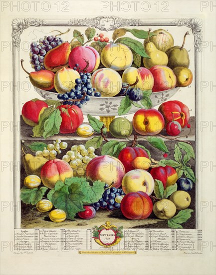 Furber, Les douze mois des Fruits : Septembre