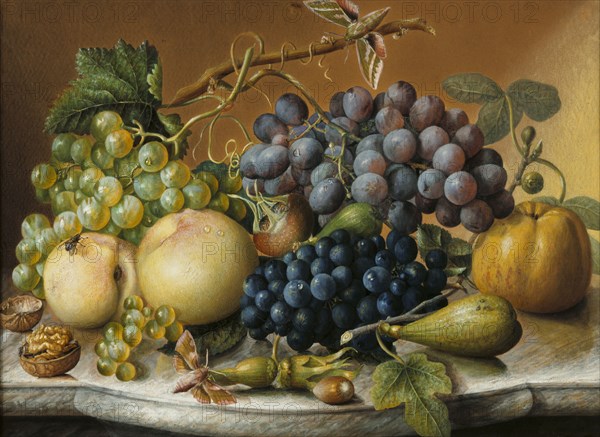 Still Life, by C. Eli. Germany, 19th century