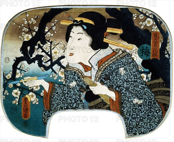 Plum Blossoms, by Utagawa Kunisada. Japan, 19th century