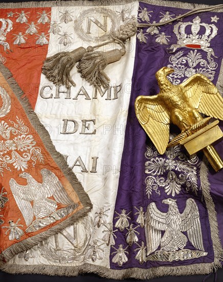 Banner, Brass Eagle of the French Departments. France, 19th century