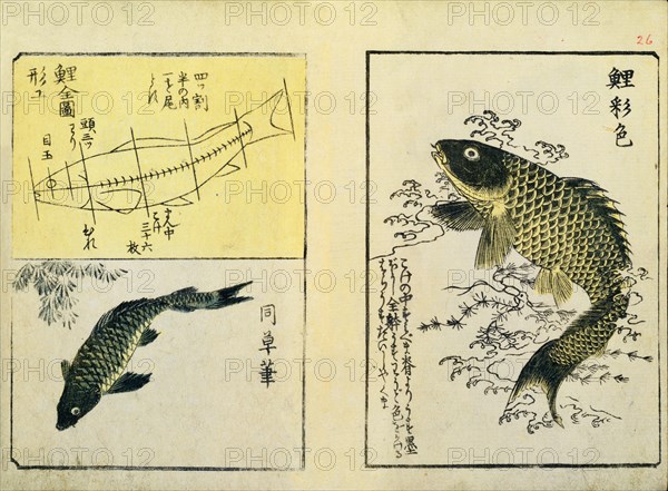 Swimming Carp, by Utagawa Hiroshige. Japan, 19th century