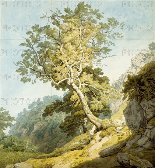 View near Camonteign, Devon, by John White Abbott. England, 1803