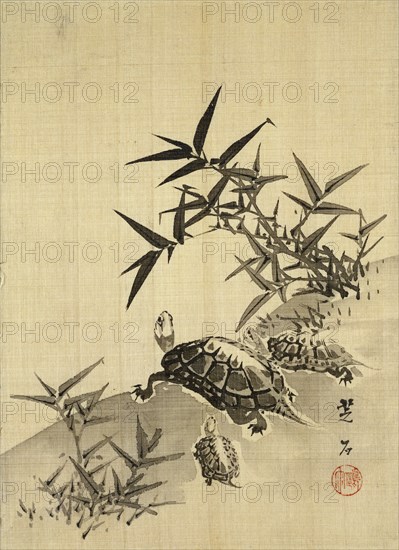 Tortoises and Bamboo, by Siuseki. Japan, 19th century