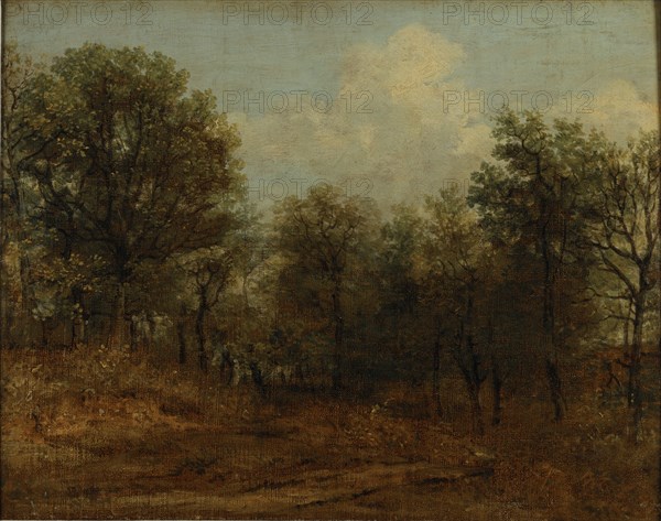 Constable, Un bois