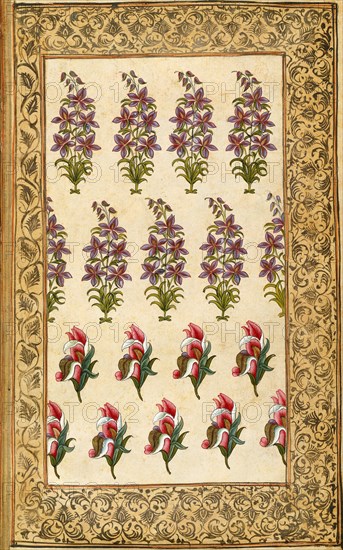 Textile design. India, 18th century