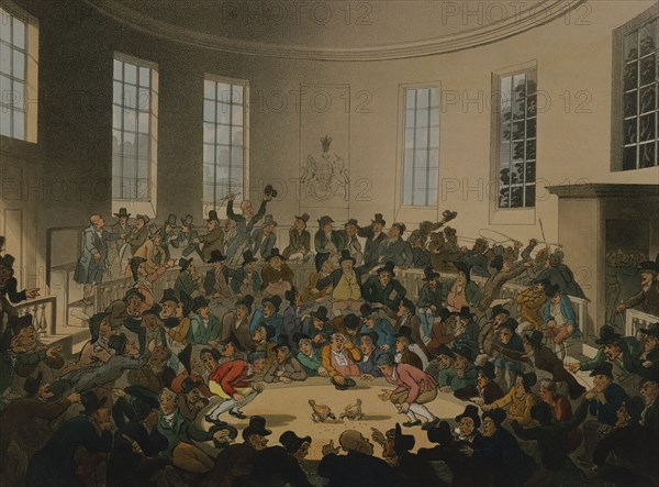 Royal Cockpit, by J. Bluck. London, England, 1808