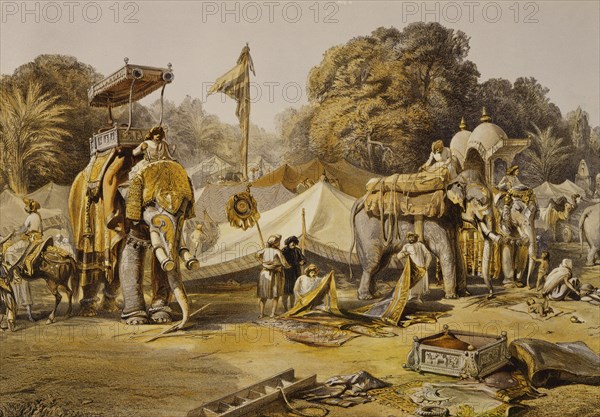 State Elephants in the Mahratta Carup, by William Simpson. Indore, India, 19th century
