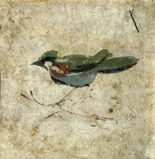 Bird, detail. Pozzuoli, Italy, 1st century AD
