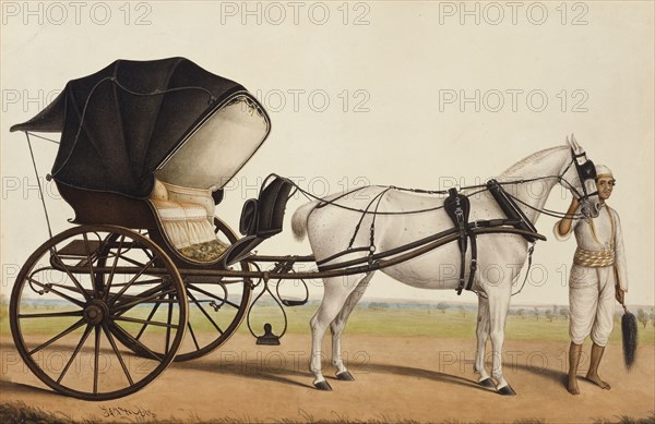 Carriage with Groom, by Shaikh Muhammad Amir. Calcutta, India, mid-19th century. 
Londres, Victoria & Albert Museum
Londres, Victoria and Albert Museum