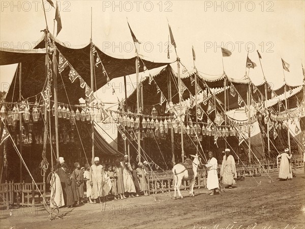 Moulet el-Neby, fête arabe au Caire (Egypte)