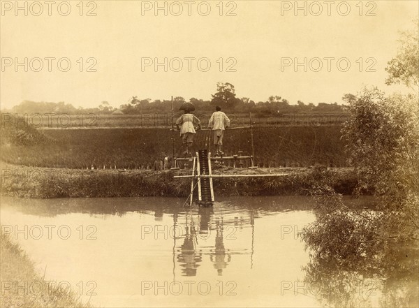 Field irrigation in China