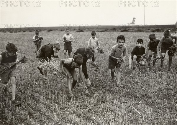 Petits glaneurs