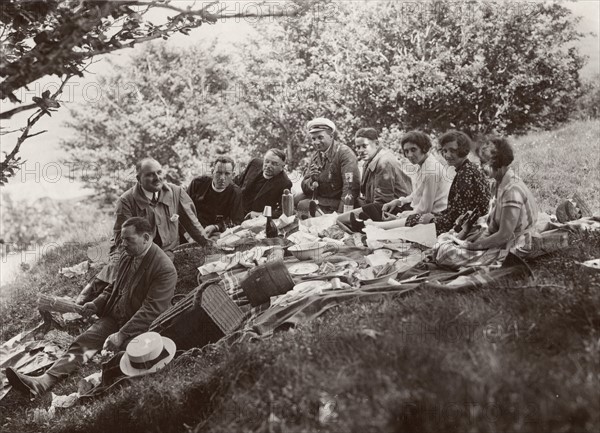 Family picnic in the countryside