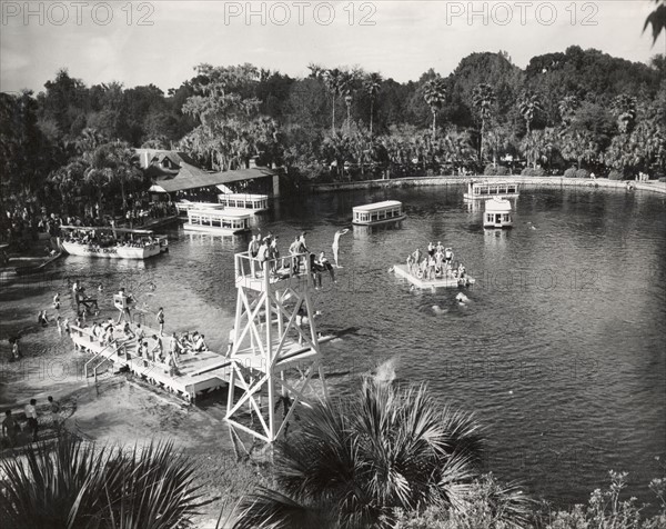 Vue panoramique de Silver Springs en Floride