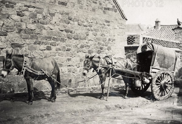 China, horses harnessed, in Peking