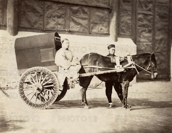 Chine, transporteur, chariot couvert