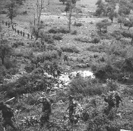 Opérations militaires pendant la Guerre d'Algérie (1956)