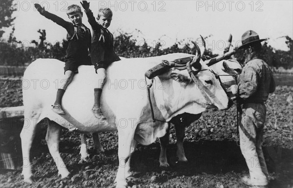 Les enfants de Mussolini