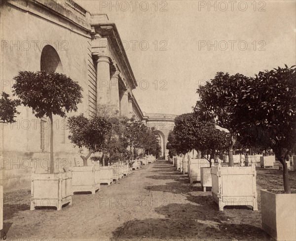 Atget, The Versailles Orangerie