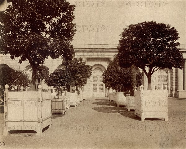 Atget, The Versailles Orangerie