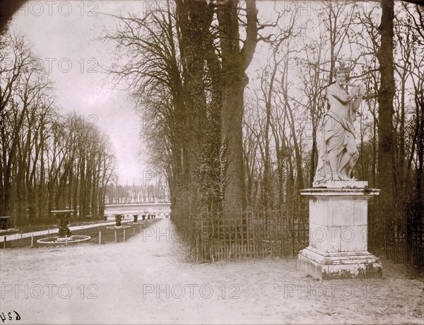 Atget, L'Allée d'eau à Versailles