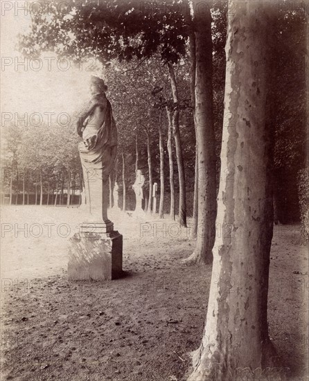 Atget, Parc du Château de Versailles