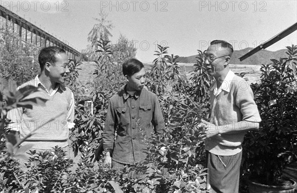 Pu Yi dans un jardin à Pékin, septembre 1961