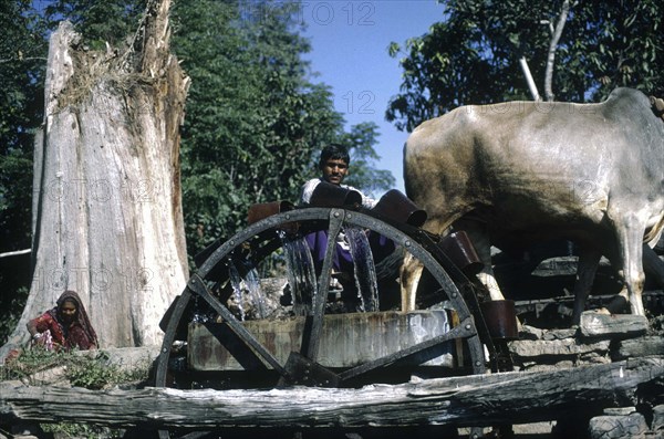 Homme faisant tourner une roue hydraulique, Inde