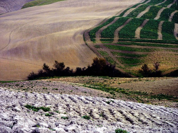 Paysage,
Les Marches, Italie.