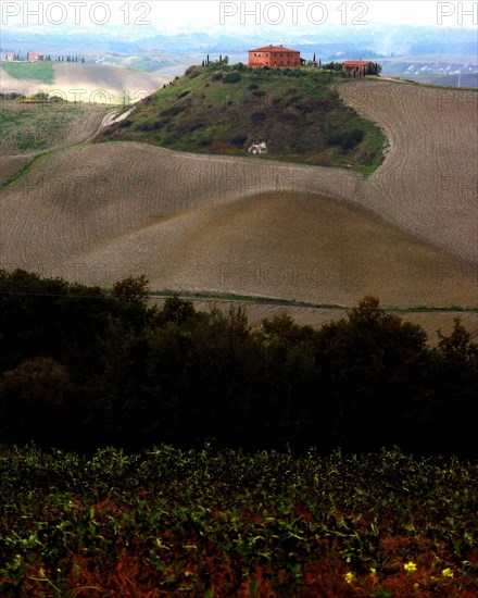 Paysage près de Sienne, Toscane, Italie.