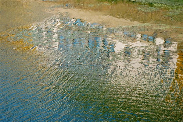 Reflets dans l'eau