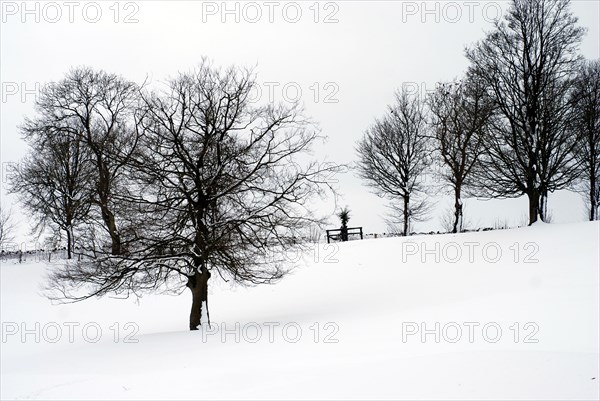 Paysage enneigé