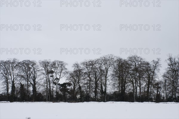 Paysage enneigé