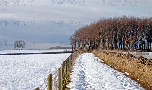 Paysage enneigé