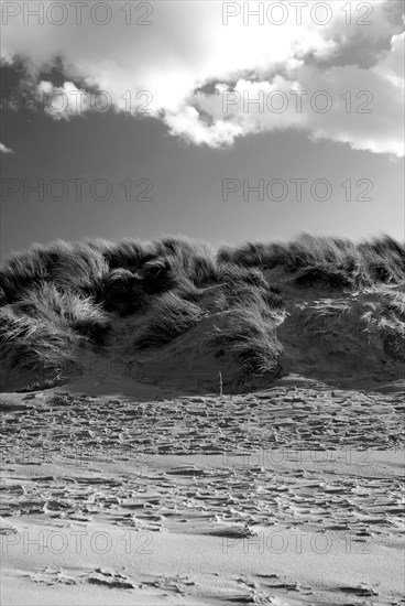 Réserve naturelle de Holme Dunes