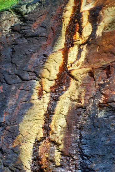 Detail of a rock