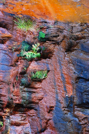 Detail of a rock