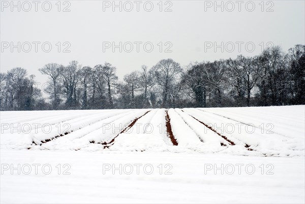 Paysage enneigé