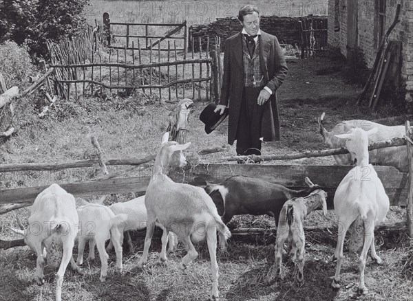 Doctor Dolittle