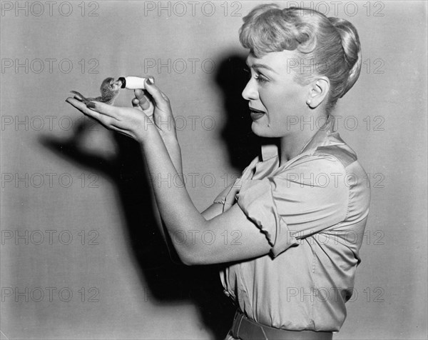 Eve Arden