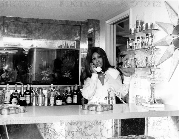 Tina Turner At Home