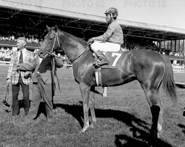 Entertainment News - May 6, 2005