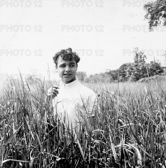 Sal Mineo Angelo