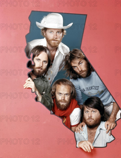 The Beach Boys