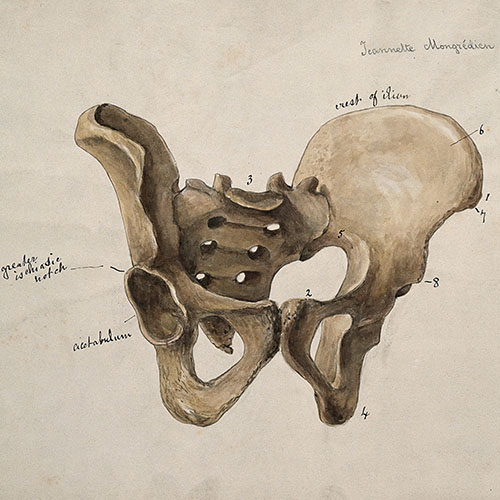 Photographer Feature Placeholder Image