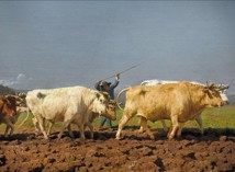 French painter Rosa Bonheur