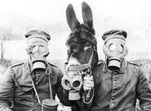 Animaux de la Première Guerre mondiale